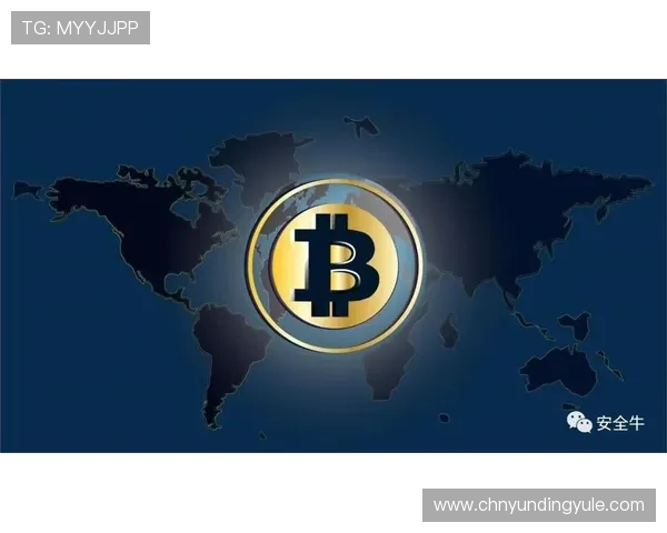 如何在4118云顶集团app中安全登录保障账户信息安全与隐私保护