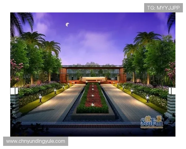 云顶国际集团官网：全面介绍云顶国际的企业背景与发展历程