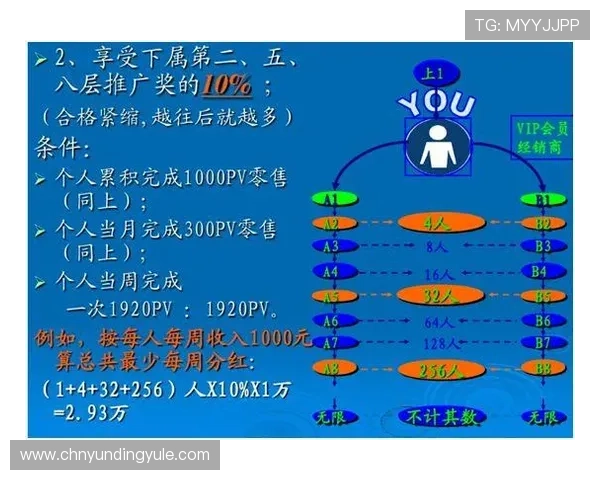 云顶公司传销疑云揭秘：如何辨别其是否属于传销企业的实用指南