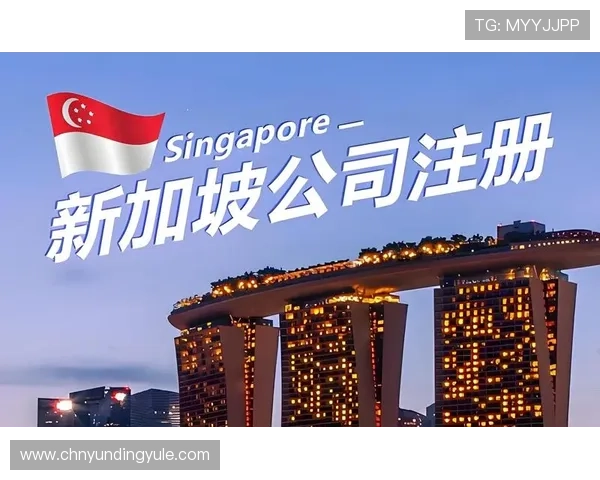 云顶赌场官网新手入门指南，详细讲解注册流程、游戏规则与赢钱技巧