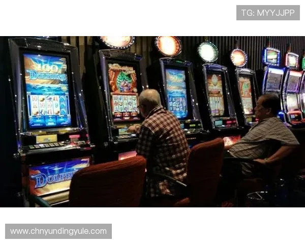 掌握马来西亚云顶大赌场的游戏规矩与流程提升你的赢钱几率与游戏体验